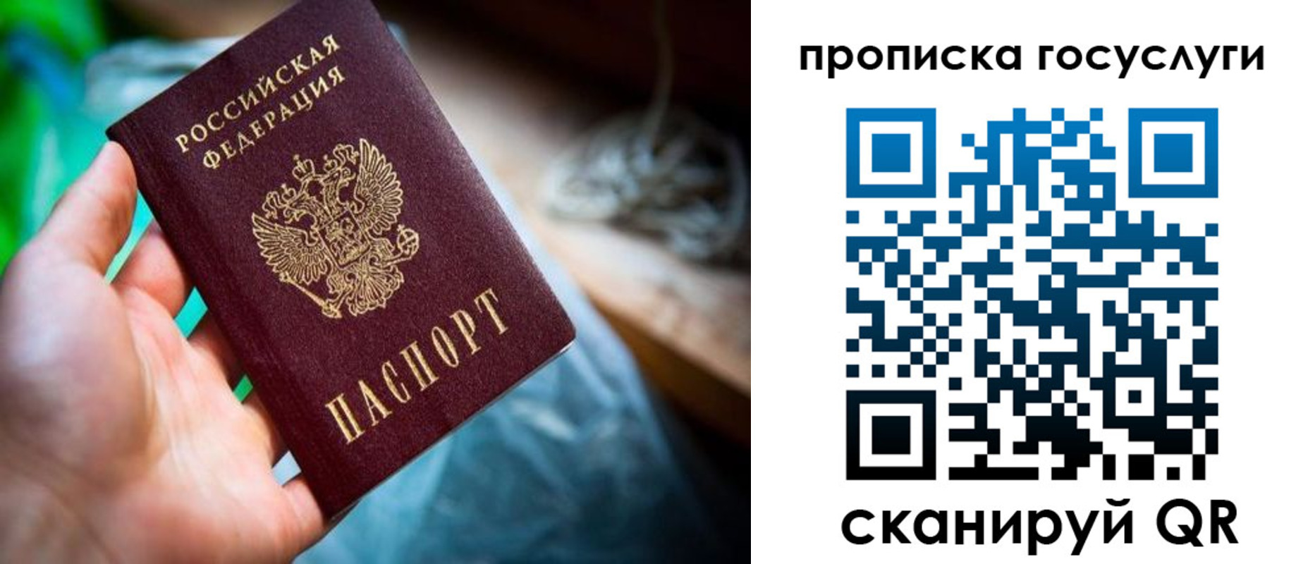 временная регистрация в квартире в Волосово